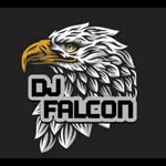 Nino Falcon - @dj_falcon_nino - Instagram