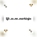 DJ & Floyd - @life_as_me_markiesjes - Instagram