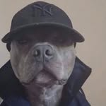 GHOSTT - @djghostavo - Instagram