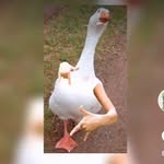 DJ Hardin - @dj.hardin - Instagram