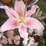 DJ Heath - @dj_heath12 - Instagram