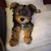 Djuan Hines - Facebook