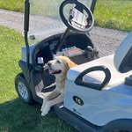 DJ Howell - @boozeygolf - Instagram