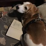Fred - @dj__freddy_green_hubbard_jr - Instagram