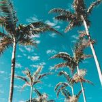 @dj_ivory._ - Instagram