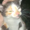 djlarkins1985 - @happytolove777 - TikTok