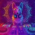 DJ LEØ BELDHA TAPI - @djleo_sound_n_lights - Instagram