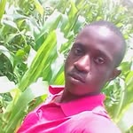 Dj Lloyd - @djlloyd64 - Instagram