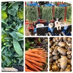 DJ Lowe & Partners LTD - @lowes_quality_produce - Instagram