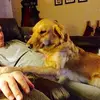 djolson_1313 - @djolson_1313 - TikTok