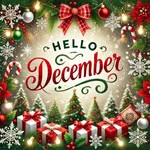 Donna Larson Olson - @djolson56 - Instagram