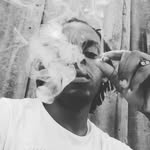 MAX - @dj_perkins45674 - Instagram