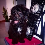 DjPerry - @dj_perry507 - Instagram