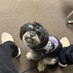 Dj. Ricochet - @dj.ricochet - Instagram