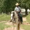 dj ross - @wildwest25 - TikTok