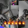 🔞LLEGÓ EL PEQUEÑO SADICO🔞 - @777.dj.russo - TikTok
