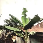 @djtro_uble - Instagram