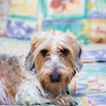 DJ Tucker - @tuckercookieboy - Instagram