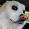 Tucker Frees 🐕 - @dj.tucker - TikTok
