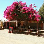 Daly Waters Pub - @dalywaterspub - Instagram