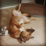 d.j. - @dj_weiss_love - Instagram