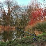 dylan wheeler - @djwheeler_fishing - Instagram