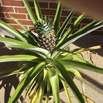 Dale Winters - @djwinters51 - Instagram