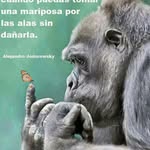 Djamel Boukari - @djamelboukari - Instagram
