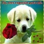 djamelboukari543@gmaul.com - @boukaridjamel50 - Instagram