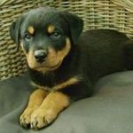 djamelboukari - @djamelboukari9 - Instagram