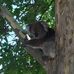 Djuna Smith - Facebook