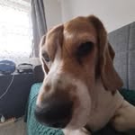 dl._.mrt - @dl._martin - Instagram