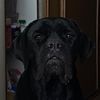 Dmitry_smith - @dmitrii_smith - TikTok