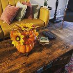 Dmitri Williams - @williams.dmitri - Instagram