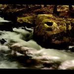 Dmitriy Abramov - @dmitriyabramov - Instagram