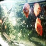 Dmitriy Abramov - @dmitriyabramov4 - Instagram