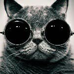 Dmitriy Antonov - @dmitriy.antonov.526 - Instagram