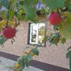 Dmitriy Belkin - @dmitriy.belkin - TikTok