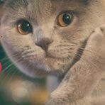 Dmitriy  Doroshenko - Facebook