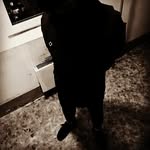 @dmitry_schneiderman - Instagram