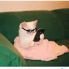 Doaa Ahmed 456 - @doaaahmed190 - TikTok