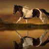 Doan Lien - @doan.lien - TikTok