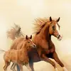 Doan Lien - @doan.lien80 - TikTok