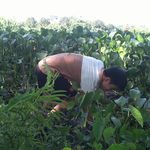 Đoàn H Lương - @doan_luong_98 - Instagram