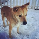 Deborah Smith - @dobbysmith4me - Instagram