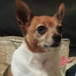 @dobby.smith - Instagram