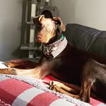 Dobby Smith - @dobbyyyy_smith - Instagram