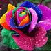 Debo Gray - Facebook