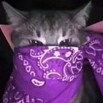 dobrin petrov - @dobri_jr - Instagram