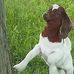 Doby Johnson - Facebook